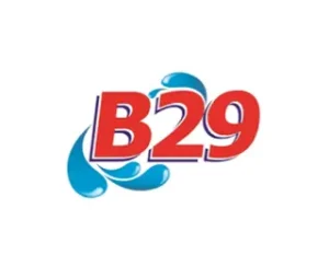 b29-lg